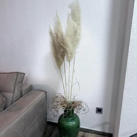Ten Apartman Lejlighed